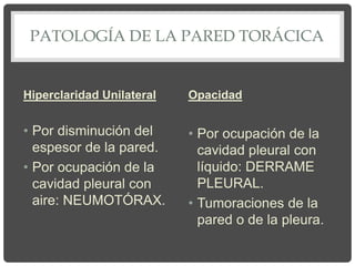 PATOLOGÍA DE LA PARED TORÁCICA
Hiperclaridad Unilateral
• Por disminución del
espesor de la pared.
• Por ocupación de la
cavidad pleural con
aire: NEUMOTÓRAX.
Opacidad
• Por ocupación de la
cavidad pleural con
líquido: DERRAME
PLEURAL.
• Tumoraciones de la
pared o de la pleura.
 