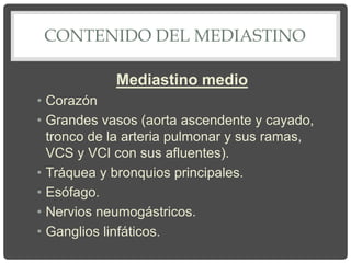 CONTENIDO DEL MEDIASTINO
Mediastino medio
• Corazón
• Grandes vasos (aorta ascendente y cayado,
tronco de la arteria pulmonar y sus ramas,
VCS y VCI con sus afluentes).
• Tráquea y bronquios principales.
• Esófago.
• Nervios neumogástricos.
• Ganglios linfáticos.
 