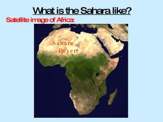 What is the Sahara like? ,[object Object],Sahara Desert 