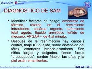 DIAGNÓSTICO DE SAM
 • Identificar factores de riesgo: embarazo de
   término,      retardo     en    el   crecimiento
   intrauterino, cesárea urgente, sufrimiento
   fetal agudo, líquido amniótico teñido de
   meconio, APGAR < de 4 al minuto.
 • Después de la reanimación hay cianosis
   central, tiraje IC, quejido, sobre distensión del
   tórax, estertores bronco-alveolares. Son
   niños largos y delgados, tienen facies
   “preocupados”, cordón friable, las uñas y la
   piel están amarillentas.
 