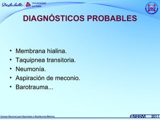 DIAGNÓSTICOS PROBABLES


•   Membrana hialina.
•   Taquipnea transitoria.
•   Neumonía.
•   Aspiración de meconio.
•   Barotrauma...
 