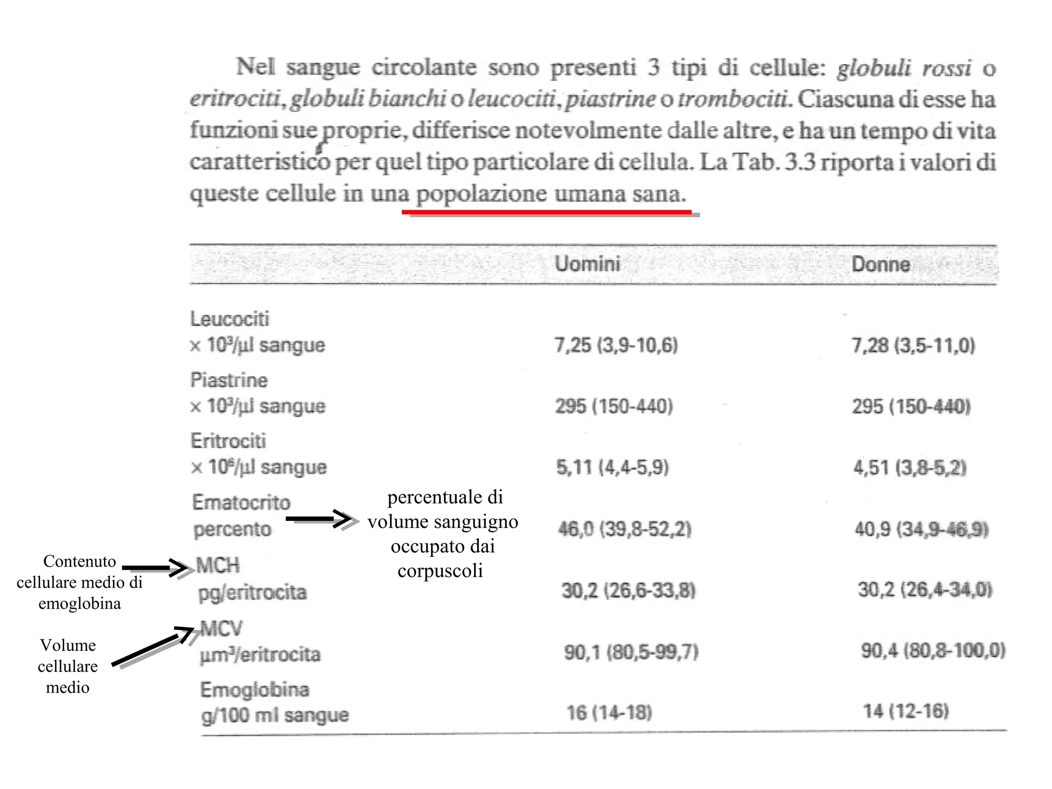 percentuale di
volume sanguigno
occupato dai
corpuscoli
Volume
cellulare
medio
Contenuto
cellulare medio di
emoglobina
 