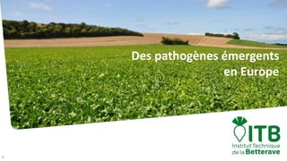 1
Des pathogènes émergents
en Europe
 