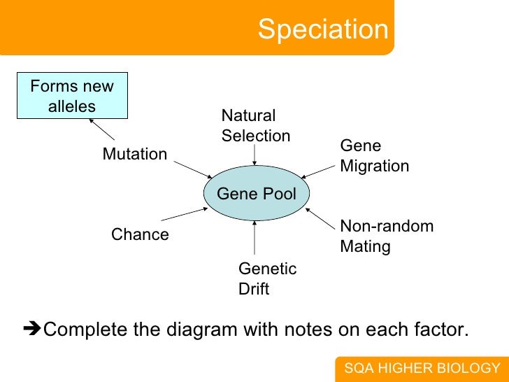 What Is Meant By The Term Natural Selection What Is Meant By The Term Natural Selection