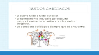 3-Semiología del Sistema Cardiovascular.pptx