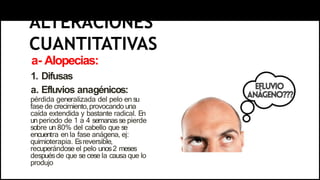 ALTERACIONES
CUANTITATIVAS
a- Alopecias:
1. Difusas
a. Efluvios anagénicos:
pérdida generalizada del pelo en su
fase de crecimiento,provocando una
caída extendida y bastante radical. En
un periodo de 1 a 4 semanasse pierde
sobre un 80% del cabello que se
encuentra en la fase anágena, ej:
quimioterapia. E
sreversible,
recuperándose el pelo unos2 meses
despuésde que se cese la causa que lo
produjo
 