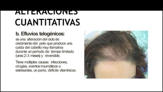 ALTERACIONES
CUANTITATIVAS
b. Efluvios telogénicos:
es una alteración del ciclo de
crecimientodel pelo que produce una
caída del cabello muy llamativa
durante un período de tiempo limitado
(unos 2-3 meses) y reversible.
Tiene múltiples causas: infecciones,
cirugías, eventos traumáticos o
estresantes, un parto, déficits vitamínicos.
 
