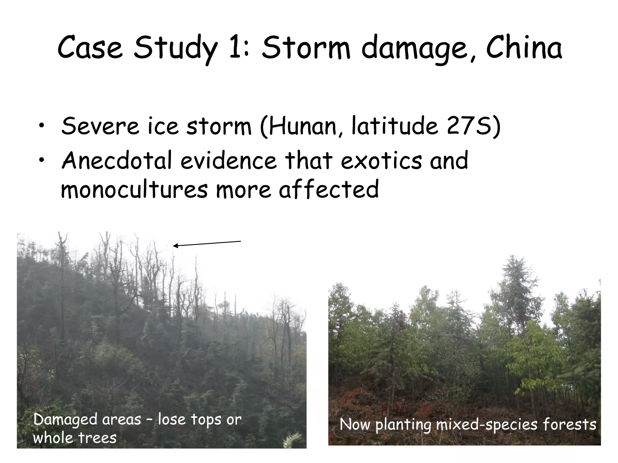 Case Study 1: Storm damage, China

• Severe ice storm (Hunan, latitude 27S)
• Anecdotal evidence that exotics and
  monocultures more affected




Damaged areas – lose tops or   Now planting mixed-species forests
whole trees                                                  13
 