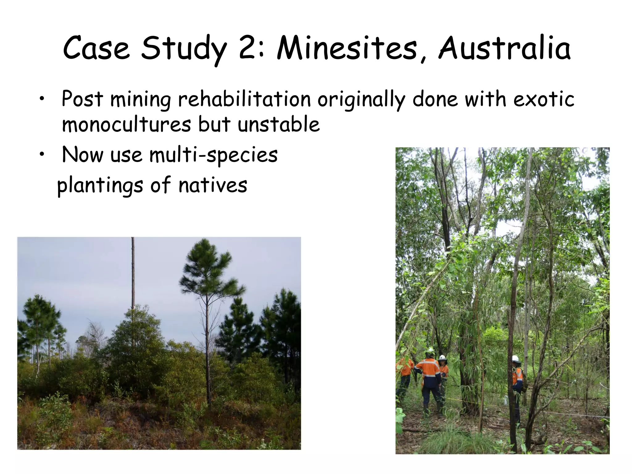 Case Study 2: Minesites, Australia
• Post mining rehabilitation originally done with exotic
  monocultures but unstable
• Now use multi-species
  plantings of natives




                                                           14
 