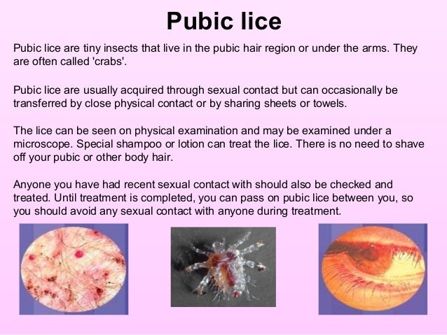 3 Sexually Transmitted Infections