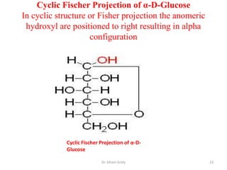 Cyclic Fischer Projection of α-D-Glucose
In cyclic structure or Fisher projection the anomeric
 hydroxyl are positioned to right resulting in alpha
                    configuration




            Cyclic Fischer Projection of α-D-
            Glucose

                           Dr. Siham Gritly             23
 