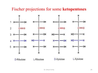 Fischer projections for some ketopentoses




                 Dr. Siham Gritly           29
 