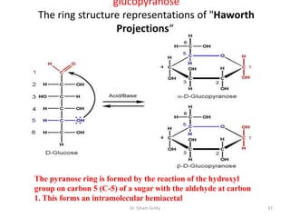 glucopyranose
 The ring structure representations of "Haworth
                   Projections“




The pyranose ring is formed by the reaction of the hydroxyl
group on carbon 5 (C-5) of a sugar with the aldehyde at carbon
1. This forms an intramolecular hemiacetal
                           Dr. Siham Gritly                      37
 