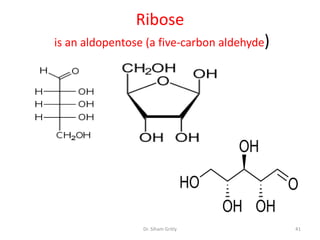 Ribose
is an aldopentose (a five-carbon aldehyde)




                 Dr. Siham Gritly            41
 