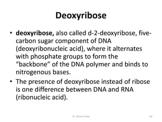 Deoxyribose
• deoxyribose, also called d-2-deoxyribose, five-
  carbon sugar component of DNA
  (deoxyribonucleic acid), where it alternates
  with phosphate groups to form the
  “backbone” of the DNA polymer and binds to
  nitrogenous bases.
• The presence of deoxyribose instead of ribose
  is one difference between DNA and RNA
  (ribonucleic acid).

                     Dr. Siham Gritly           42
 