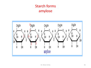 Starch forms
  amylose




   Dr. Siham Gritly   56
 