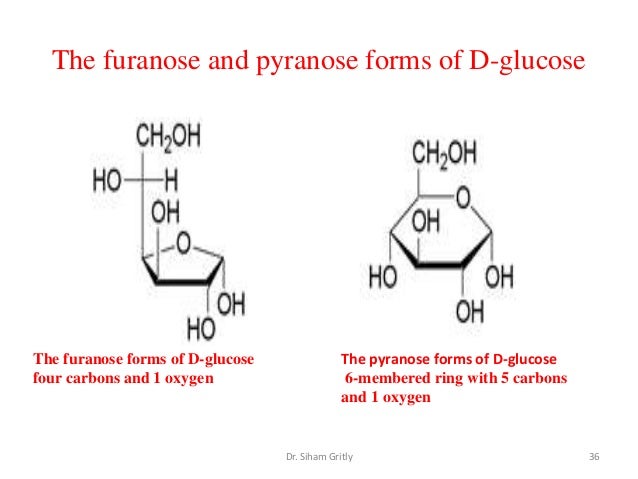 3 Simple And Complex Carbohydrates Lec 3
