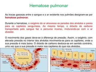 Hematose pulmonar As trocas gasosas entre o sangue e o ar existente nos pulmões designam-se por  hematose pulmonar .  Durante a hematose,  o oxigénio do ar atravessa as paredes dos alvéolos e passa para os capilares sanguíneos. Ao mesmo tempo, o dióxido de carbono transportado pelo sangue faz o percurso inverso, misturando-se com o ar alveolar . O movimento dos gases deve-se à diferença de pressão. Assim, o oxigénio, com elevada pressão no interior dos alvéolos movimenta-se para os capilares, onde a sua pressão é mais baixa. O dióxido de carbono desloca-se em sentido contrário, uma vez que a sua pressão é maior nos capilares do que nos alvéolos.     
