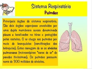 Movimentos Respiratórios Expiração Quando ocorre a saída de ar dos pulmões, a  expiração , acontece: O relaxamento dos músculos do  diafragma  e dos  músculos intercostais ; Eleva-se o  diafragma  e as  costelas e esterno  baixam; Diminui o volume da caixa torácica , expulsando o ar dos pulmões.  