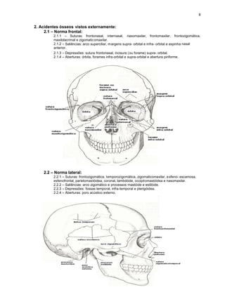 2. Acidentes ósseos vistos externamente:
     2.1 – Norma frontal:
         2.1.1 – Suturas: frontonasal, internasal, nasomaxilar, frontomaxilar, frontozigomática,
         maxilolacrimal e zigomaticomaxilar.
         2.1.2 – Saliências: arco superciliar, m argens supra- orbital e infra- orbital e espinha nasal
         anterior.
         2.1.3 – Depressões: sutura frontonasal, incisura (ou forame) supra- orbital.
         2.1.4 – Aberturas: órbita, forames infra-orbital e supra-orbital e abertura piriforme.




    2.2 – Norma lateral:
         2.2.1 – Suturas: frontozigomática, temporozigomática, zigomaticomaxilar, e sfeno- escamosa,
         esfenofrontal, parietomastóidea, coronal, lambdóide, occipitomastóidea e nasomaxilar.
         2.2.2 – Saliências: arco zigomático e processos mastóide e estilóide.
         2.2.3 – Depressões: fossas temporal, infra-temporal e pterigóidea.
         2.2.4 – Aberturas: poro acústico externo.
 