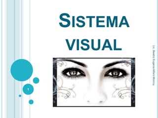 Sistema visual 1 Lic. Beatriz Eugenia Alfaro Monroy 