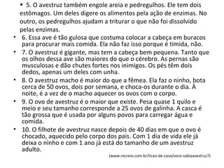 • 5. O avestruz também engole areia e pedregulhos. Ele tem dois
estômagos. Um deles digere os alimentos pela ação de enzimas. No
outro, os pedregulhos ajudam a triturar o que não foi dissolvido
pelas enzimas.
• 6. Essa ave é tão gulosa que costuma colocar a cabeça em buracos
para procurar mais comida. Ela não faz isso porque é tímida, não.
• 7. O avestruz é gigante, mas tem a cabeça bem pequena. Tanto que
os olhos dessa ave são maiores do que o cérebro. As pernas são
musculosas e dão chutes fortes nos inimigos. Os pés têm dois
dedos, apenas um deles com unha.
• 8. O avestruz macho é maior do que a fêmea. Ela faz o ninho, bota
cerca de 50 ovos, dois por semana, e choca-os durante o dia. À
noite, é a vez de o macho aquecer os ovos com o corpo.
• 9. O ovo de avestruz é o maior que existe. Pesa quase 1 quilo e
meio e seu tamanho corresponde a 25 ovos de galinha. A casca é
tão grossa que é usada por alguns povos para carregar água e
comida.
• 10. O filhote de avestruz nasce depois de 40 dias em que o ovo é
chocado, aquecido pelo corpo dos pais. Com 1 dia de vida ele já
deixa o ninho e com 1 ano já está do tamanho de um avestruz
adulto.
(www.recreio.com.br/licao-de-casa/voce-sabiaavestruz?)
 