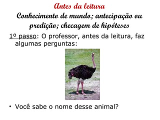 Antes da leitura
Conhecimento de mundo; antecipação ou
predição; checagem de hipóteses
1º passo: O professor, antes da leitura, faz
algumas perguntas:
• Você sabe o nome desse animal?
 
