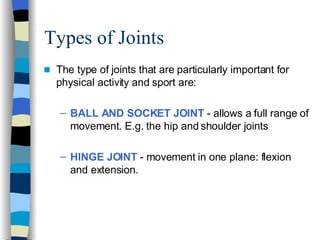 Types of Joints  The type of joints that are particularly important for physical activity and sport are: BALL AND SOCKET JOINT  - allows a full range of movement. E.g. the hip and shoulder joints  HINGE JOINT  - movement in one plane: flexion and extension. 