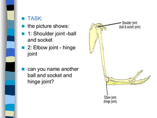 TASK: the picture shows: 1: Shoulder joint -ball and socket  2: Elbow joint - hinge joint can you name another ball and socket and hinge joint? 