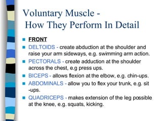 Voluntary Muscle -  How They Perform In Detail FRONT DELTOIDS -  create abduction at the shoulder and raise your arm sideways, e.g. swimming arm action. PECTORALS -  create adduction at the shoulder across the chest, e.g press ups. BICEPS -  allows flexion at the elbow, e.g. chin-ups. ABDOMINALS -  allow you to flex your trunk, e.g. sit -ups. QUADRICEPS -  makes extension of the leg possible at the knee, e.g. squats, kicking.  