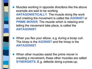 Muscles working in opposite directions like the above example are said to be working  ANTAGONISTICALLY .  The muscle doing the work and creating the movement is called the  AGONIST   or  PRIME MOVER.  The muscle which is relaxing and letting the movement take place, is called the  ANTAGONIST . When you flex your elbow, e.g. during a bicep curl. The bicep is the  AGONIST   and the tricep is the  ANTAGONIST .   When other muscles assist the prime mover in creating a movement, these other muscles are called  SYNERGISTS.  E.g. deltoids doing a press-up. 