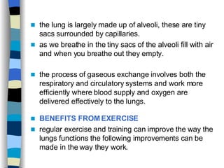 the lung is largely made up of alveoli, these are tiny sacs surrounded by capillaries. as we breathe in the tiny sacs of the alveoli fill with air and when you breathe out they empty.  the process of gaseous exchange involves both the respiratory and circulatory systems and work more efficiently where blood supply and oxygen are delivered effectively to the lungs.   BENEFITS FROM EXERCISE regular exercise and training can improve the way the lungs functions the following improvements can be made in the way they work.  