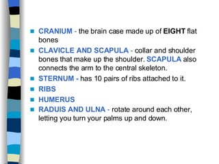 CRANIUM  -  the brain case made up of  EIGHT  flat bones CLAVICLE AND SCAPULA  -  collar and shoulder bones that make up the shoulder.  SCAPULA  also connects the arm to the central skeleton. STERNUM -  has 10 pairs of ribs attached to it.  RIBS HUMERUS   RADUIS AND ULNA  -  rotate around each other, letting you turn your palms up and down.   