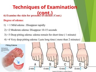 3- Skin_hair_nails assessment for nursing | PPT