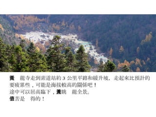 從黃龍寺走到索道站約 3 公里平路和緩升坡，走起來比預計的 要疲累些 ， 可能是海拔較高的關係吧 ！ 途中可以居高臨下 ， 遠眺黃龍全景。 辛苦是值得的！ 