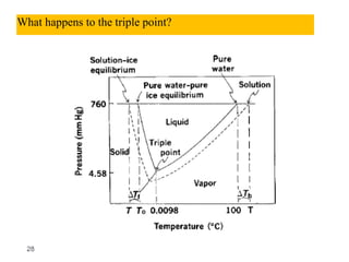 28
What happens to the triple point?
 