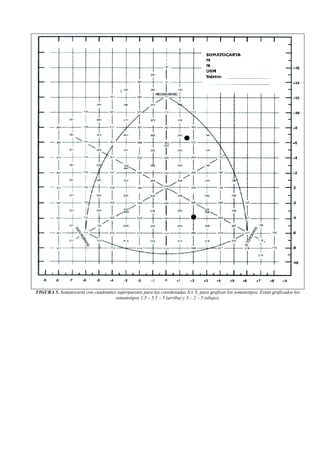 FIGURA 5. Somatocarta con cuadrantes superpuestos para las coordenadas X e Y, para graficar los somatotipos. Están graficados los
somatotipos 1.5 – 5.5 – 3 (arriba) y 3 – 2 – 5 (abajo).
 