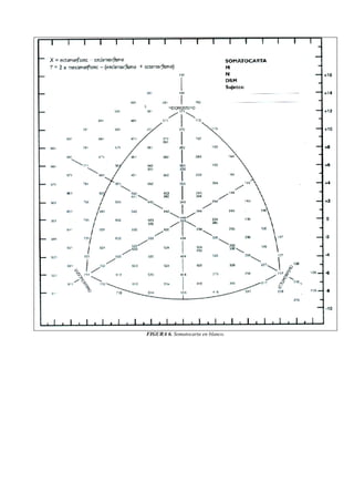 FIGURA 6. Somatocarta en blanco.
 