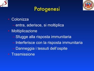 Patogenesi Colonizza entra, aderisce, si moltiplica Moltiplicazione Sfugge alla risposta immunitaria Interferisce con la risposta immunitaria Danneggia i tessuti dell’ospite Trasmissione 