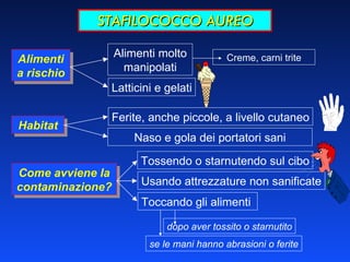 STAFILOCOCCO AUREO Alimenti a rischio Habitat Come avviene la contaminazione? Latticini e gelati Alimenti molto manipolati Naso e gola dei portatori sani Ferite, anche piccole, a livello cutaneo Toccando gli alimenti  Tossendo o starnutendo sul cibo Usando attrezzature non sanificate se le mani hanno abrasioni o ferite dopo aver tossito o starnutito Creme, carni trite 