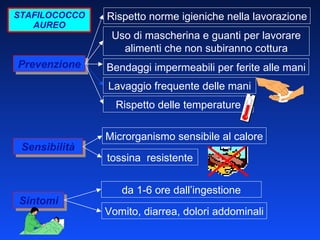 STAFILOCOCCO AUREO Prevenzione Sensibilità Sintomi Lavaggio frequente delle mani Rispetto norme igieniche nella lavorazione Rispetto delle temperature Uso di mascherina e guanti per lavorare alimenti che non subiranno cottura Bendaggi impermeabili per ferite alle mani tossina  resistente Microrganismo sensibile al calore Vomito, diarrea, dolori addominali da 1-6 ore dall’ingestione 