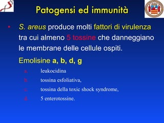 Patogensi ed immunità S. areus  produce molti  fattori di virulenza  tra cui almeno  5 tossine  che danneggiano le membrane delle cellule ospiti.  Emolisine   a, b, d, g   leukocidina  tossina esfoliativa, tossina della toxic shock syndrome,  5 enterotossine. 