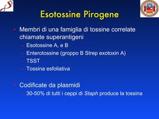 Esotossine Pirogene Membri di una famiglia di tossine correlate chiamate superantigeni  Esotossine A, e B Enterotossine (groppo B Strep exotoxin A) TSST Tossina esfoliativa Codificate da plasmidi 30-50% di tutti i ceppi di  Staph  produce la tossina 