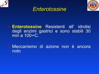 Enterotossine Enterotossine  Resistenti all’ idrolisi degli enzimi gastrici e sono stabili 30 min a 100°C.  Meccanismo di azione non è ancora noto 