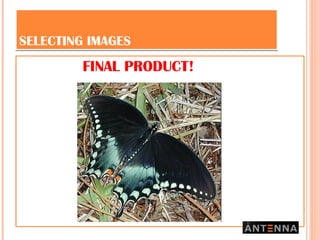 SELECTING IMAGES FINAL PRODUCT! 