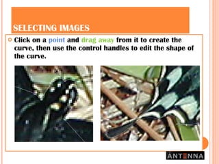 SELECTING IMAGES Click on a  point  and  drag away  from it to create the curve, then use the control handles to edit the shape of the curve. 