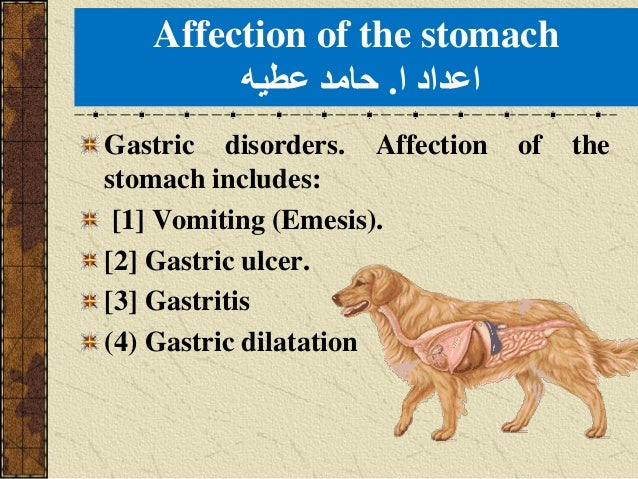 Affections Of Stomach In Pet Animals