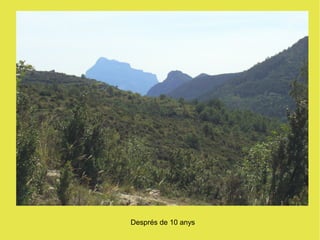 Després de 10 anys
 