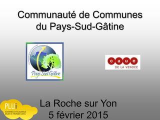 Communauté de Communes
du Pays-Sud-Gâtine
La Roche sur Yon
5 février 2015
 