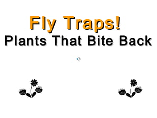 Fly Traps!
Plants That Bite Back
 